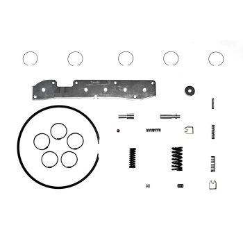 ZESTAW NAPRAWCZY STEROWNIKA 45RFE 545RFE 68RFE TRANSGO