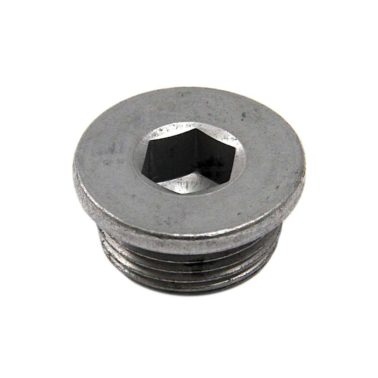 9462170B05472414D88F1A194592D6A8.JPG Korek spustowy oleju 0b5 oem volkswagen | automatyczni gm | części do automatycznych skrzyń biegów